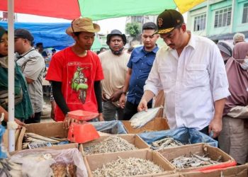 Pemerintah Percepat Pemulihan UMKM Terdampak Bencana lewat KUR dan Dukungan Pembiayaan