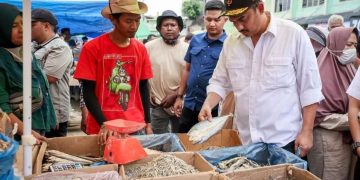 Pemerintah Percepat Pemulihan UMKM Terdampak Bencana lewat KUR dan Dukungan Pembiayaan