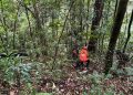 Pendaki Asal Aceh Utara Hilang di Gunung Seulawah, Tim SAR Perluas Area Pencarian