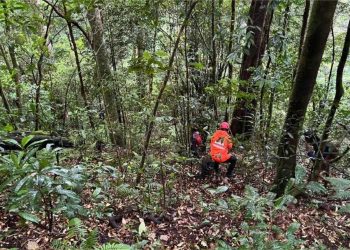 Pendaki Asal Aceh Utara Hilang di Gunung Seulawah, Tim SAR Perluas Area Pencarian