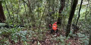 Pendaki Asal Aceh Utara Hilang di Gunung Seulawah, Tim SAR Perluas Area Pencarian