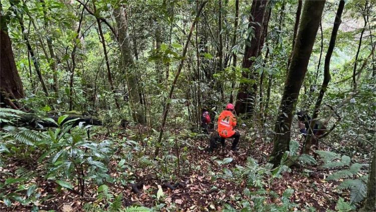 Pendaki Asal Aceh Utara Hilang di Gunung Seulawah, Tim SAR Perluas Area Pencarian