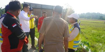 Sekda Aceh Tinjau Rehabilitasi Sawah di Aceh Timur, Pemulihan Pertanian Dikebut