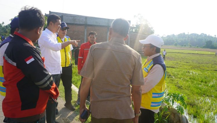 Sekda Aceh Tinjau Rehabilitasi Sawah di Aceh Timur, Pemulihan Pertanian Dikebut