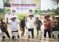 Tanam Padi Perdana Pascabencana Dimulai di Aceh Tamiang, Pemulihan 57 Ribu Hektare Sawah Dikebut