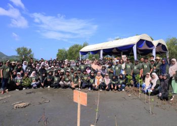 UKM PA Leuser USK Ikut Tanam 1.000 Mangrove di Pesisir Banda Aceh, Upaya Cegah Abrasi