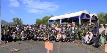 UKM PA Leuser USK Ikut Tanam 1.000 Mangrove di Pesisir Banda Aceh, Upaya Cegah Abrasi