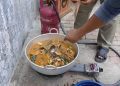Merawat Kuliner Khas Aceh: Gulai Eungkot Paya