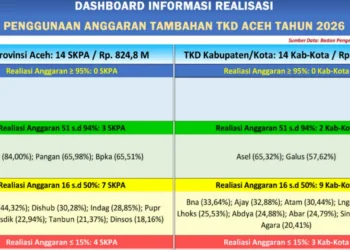 Tambahan TKD Aceh Rp1,65 Triliun untuk Bencana, Sudah Berapa yang Terealisasi