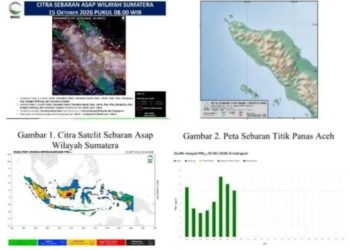 Asap Terdeteksi di Aceh, Jarak Pandang di Aceh Utara Turun Jadi 2-3 Km