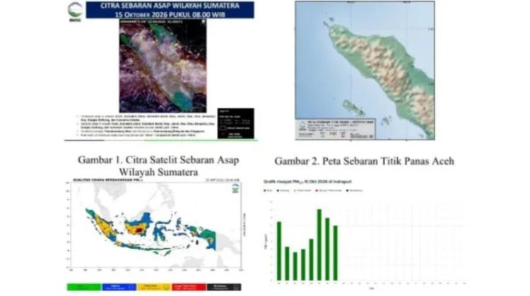 Asap Terdeteksi di Aceh, Jarak Pandang di Aceh Utara Turun Jadi 2-3 Km