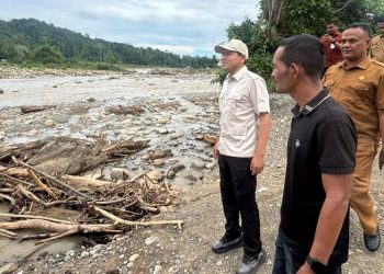 Irigasi Seunong Rusak hingga Ganggu Aliran Air, Wagub Aceh Turun Tangan
