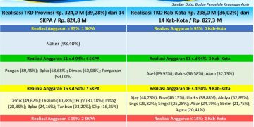 Tambahan TKD Aceh Rp1,652 Triliun, Baru Rp621,96 Miliar Terserap